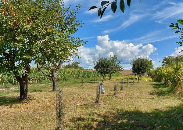 EXKLUZÍVNE, predaj slnečná záhrada s domčekom, Levice- Krížny vrch