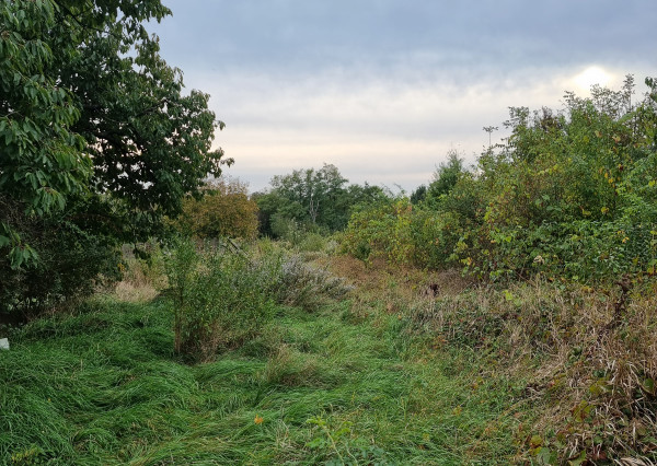 Rezervované-Vištuk - Na predaj stavebný pozemok s domom na predaj.